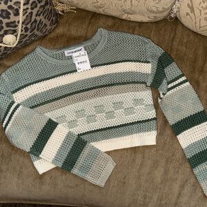 Cotton Emporium Sage and Cream Knit Sweater